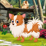 Games4King Cute Puppy Rescue Walkthrough
